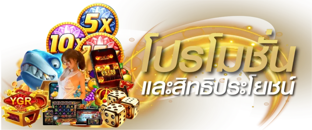 โปรโมชั่นและสิทธิประโยชน์